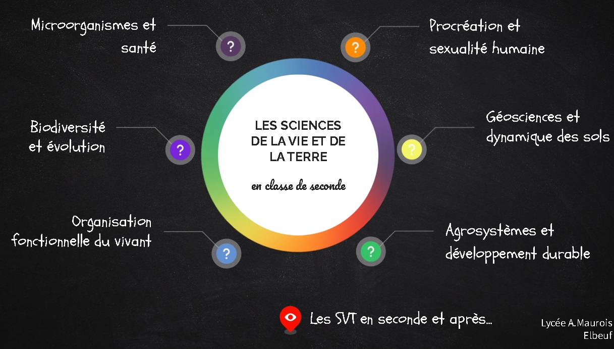 Les Svt En Classe De Seconde G N Rale Au Lyc E Andr Maurois Lyc E